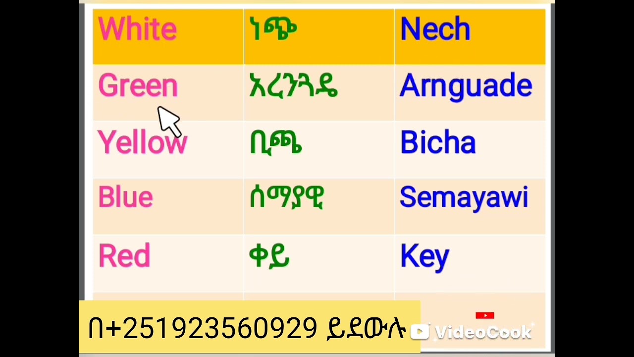 የተለያዩ የእንግሊዘኛ ቃላት እና ፍቻቸው ለጀማሪዎች English words and their meanings