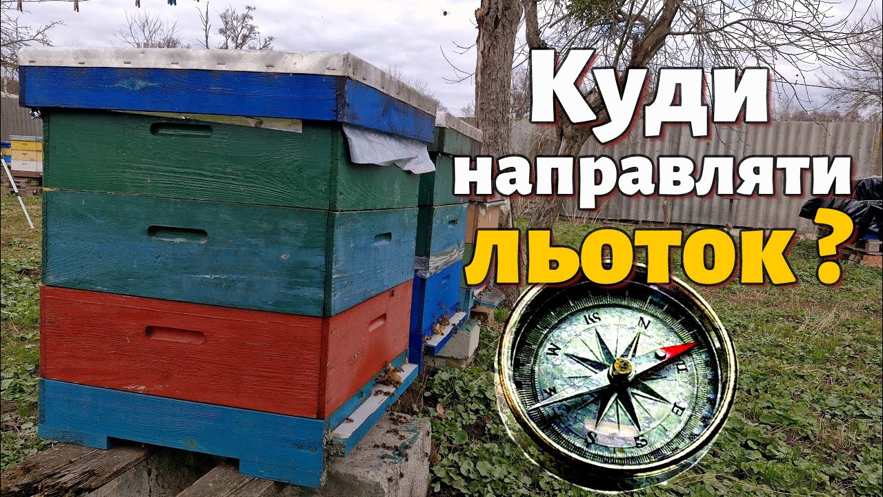 В яку сторону направляти льоток вулика?