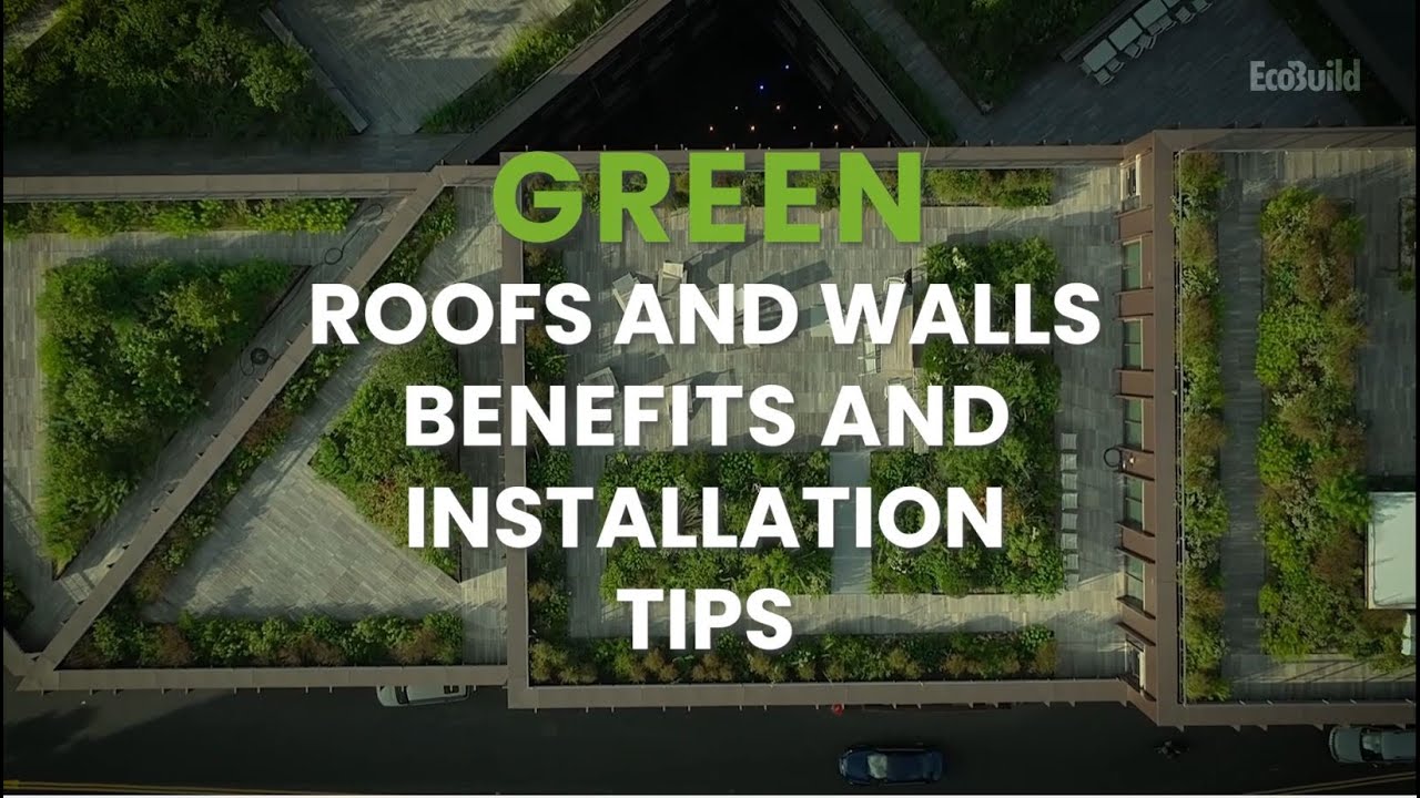 Green Roofs and Walls   Benefits and Installation Tips