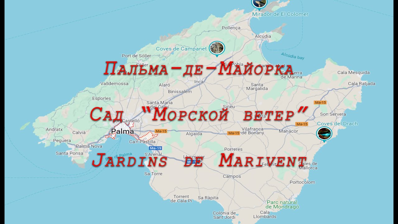 Пальма-де-Майорка. Сад 