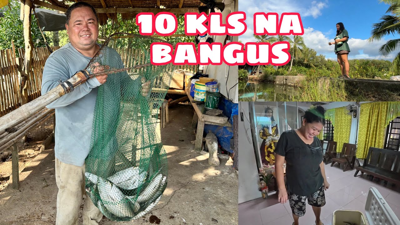 PAMIMINGWIT NG BANGUS SA FISHPOND🎣 | 10 KILOS NA BANGUS ANG ORDER SAAMIN 