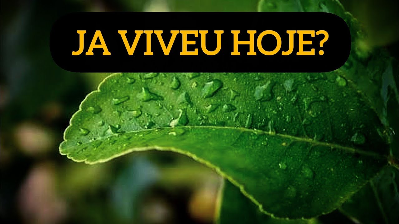 V&Aacute; L&Aacute; FORA PRA VIVER!