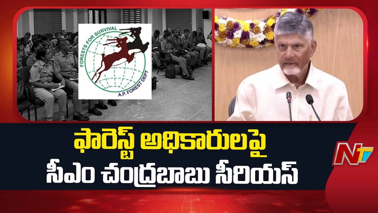 CM Chandrababu Serious On Forest Officials In Collectors Meeting | NTV Telugu