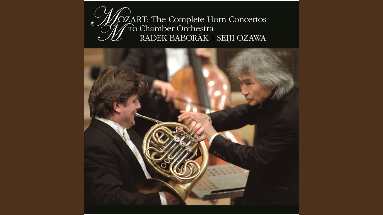 Horn Concerto No. 2 in E-flat Major, K. 417  III. Rondo. Allegro