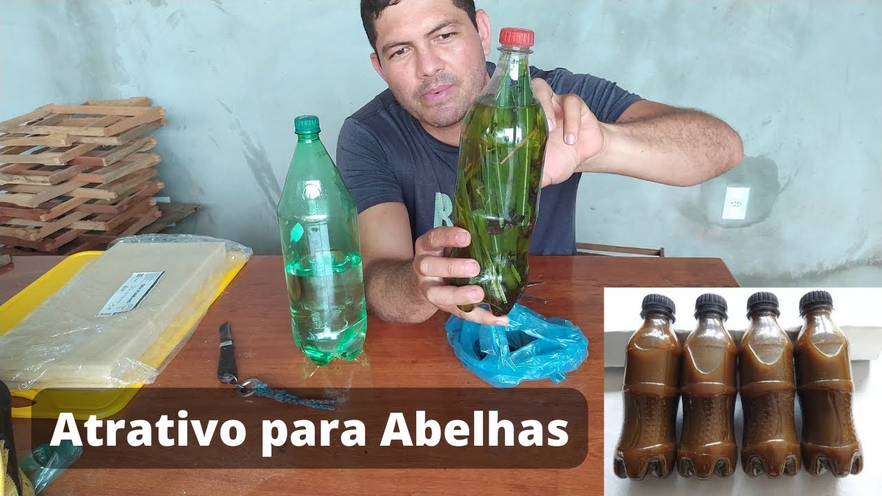 Como Fazer Atrativo Para Capturar Abelhas - Chama Enxame