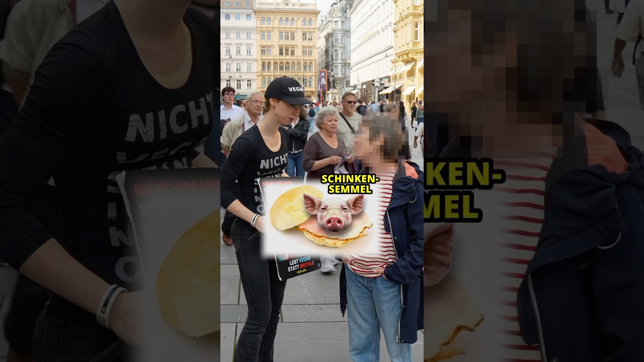 Dame findet Hundehaltung schlimmer als Schinken 🤦&zwj;♀️