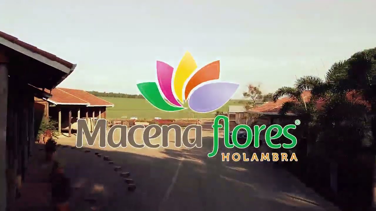 Macena Flores - Turismo Rural em Holambra