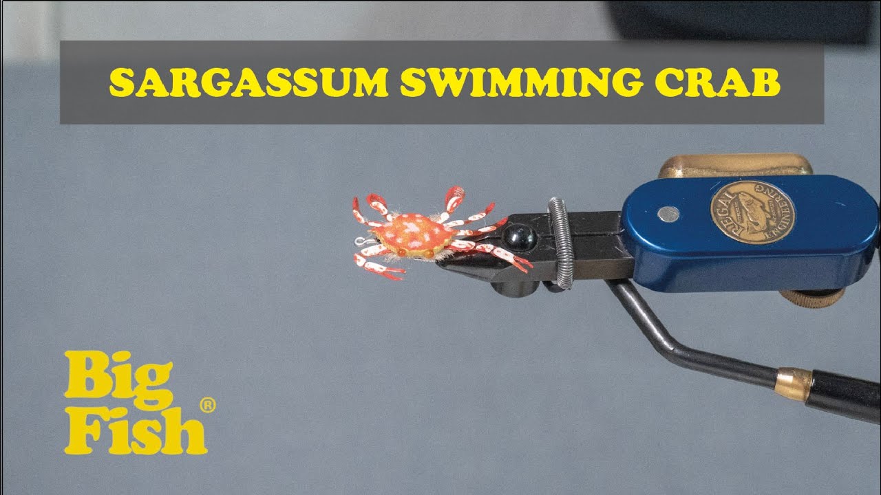 Sargasso Crab - Sargassum Swimming Crab - Permit Fishing - Fly Fishing