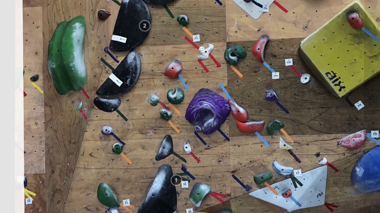 Climbing Gym Walrus 3Q