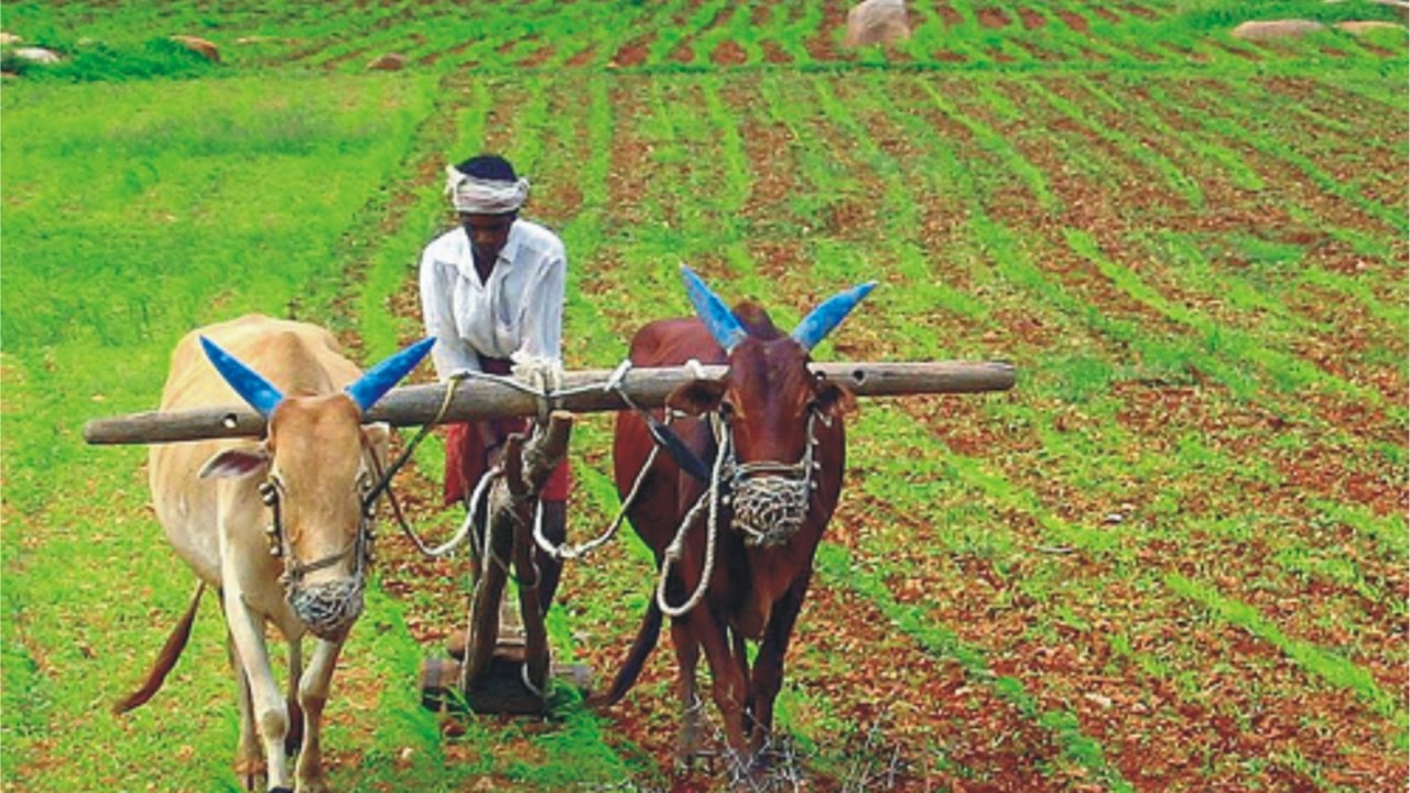 Agriculture in Rajasthan : Soil Resource of Rajasthan | Natural Department |  Part &ndash; 1