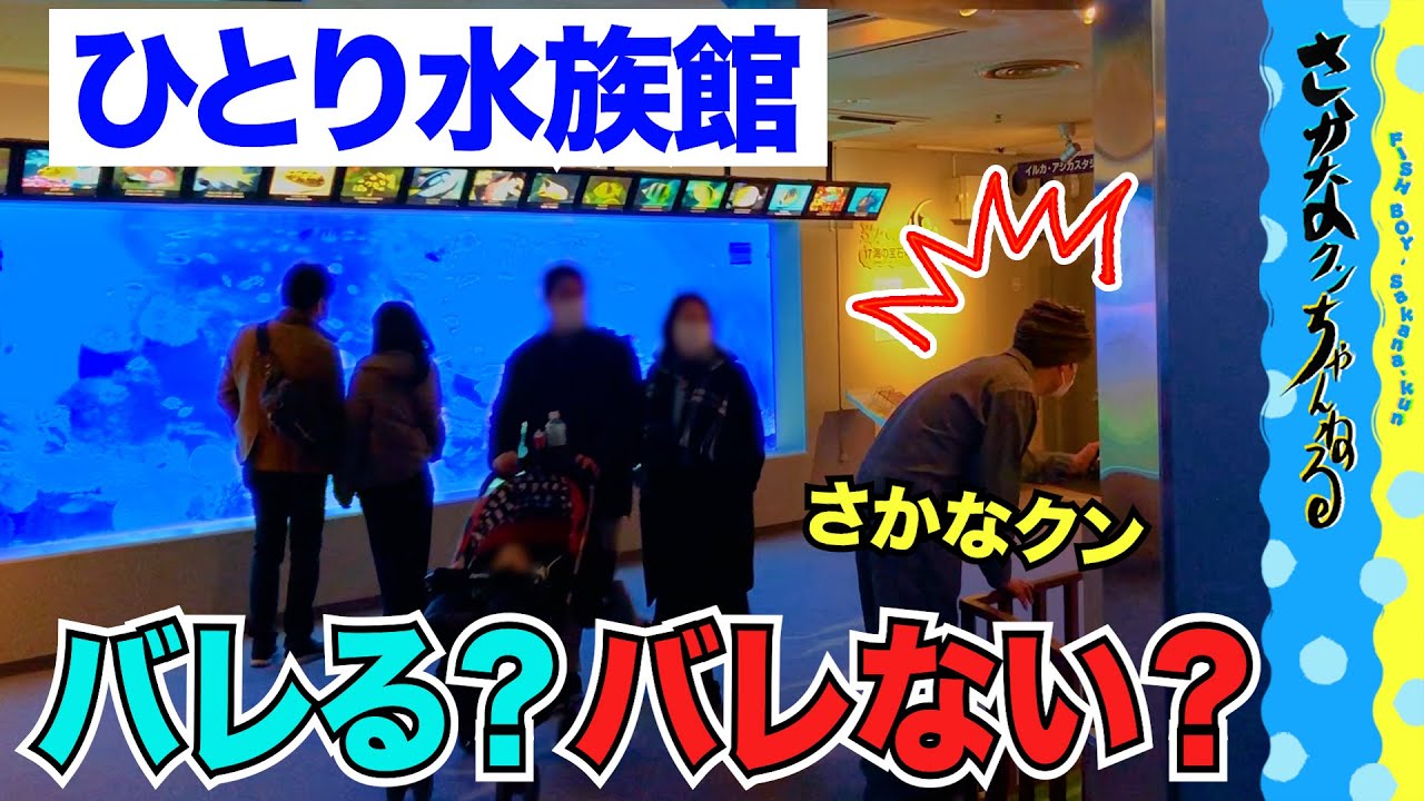 【バレたら即終了】私服で水族館に潜入してみた！