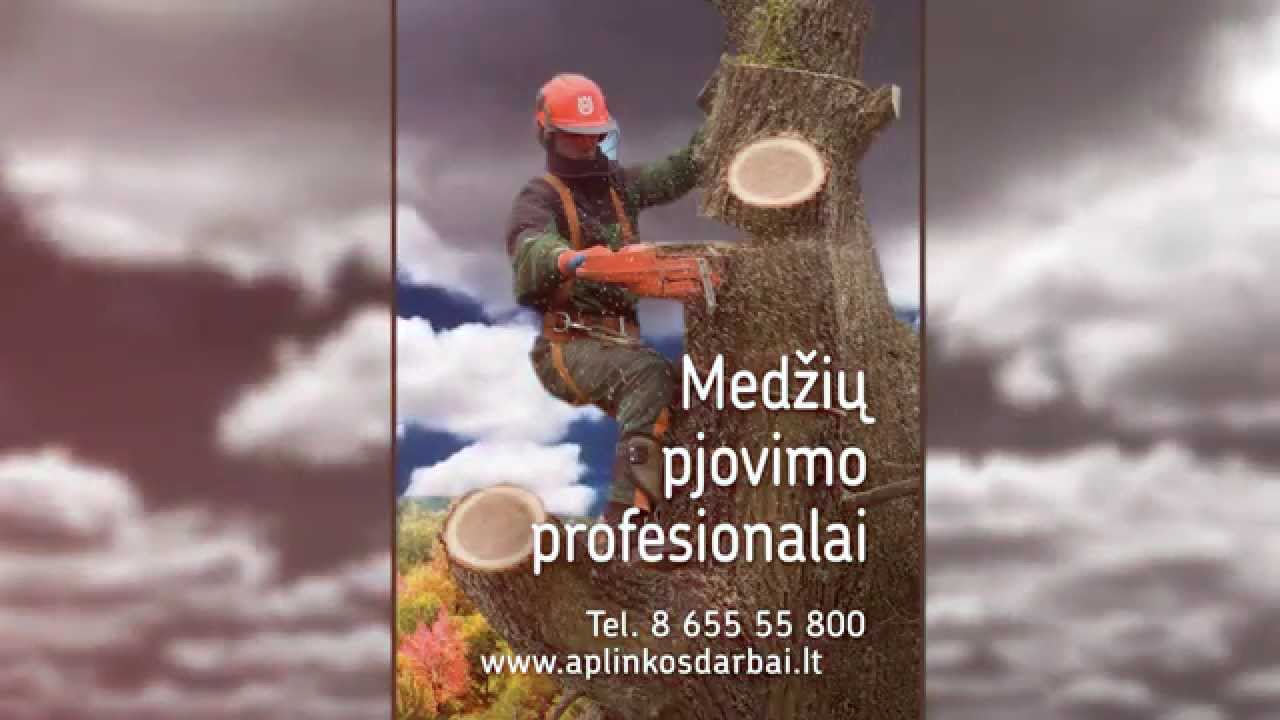 Medžių pjovimas | medžių genėjimas - Aplinkos darbai, UAB