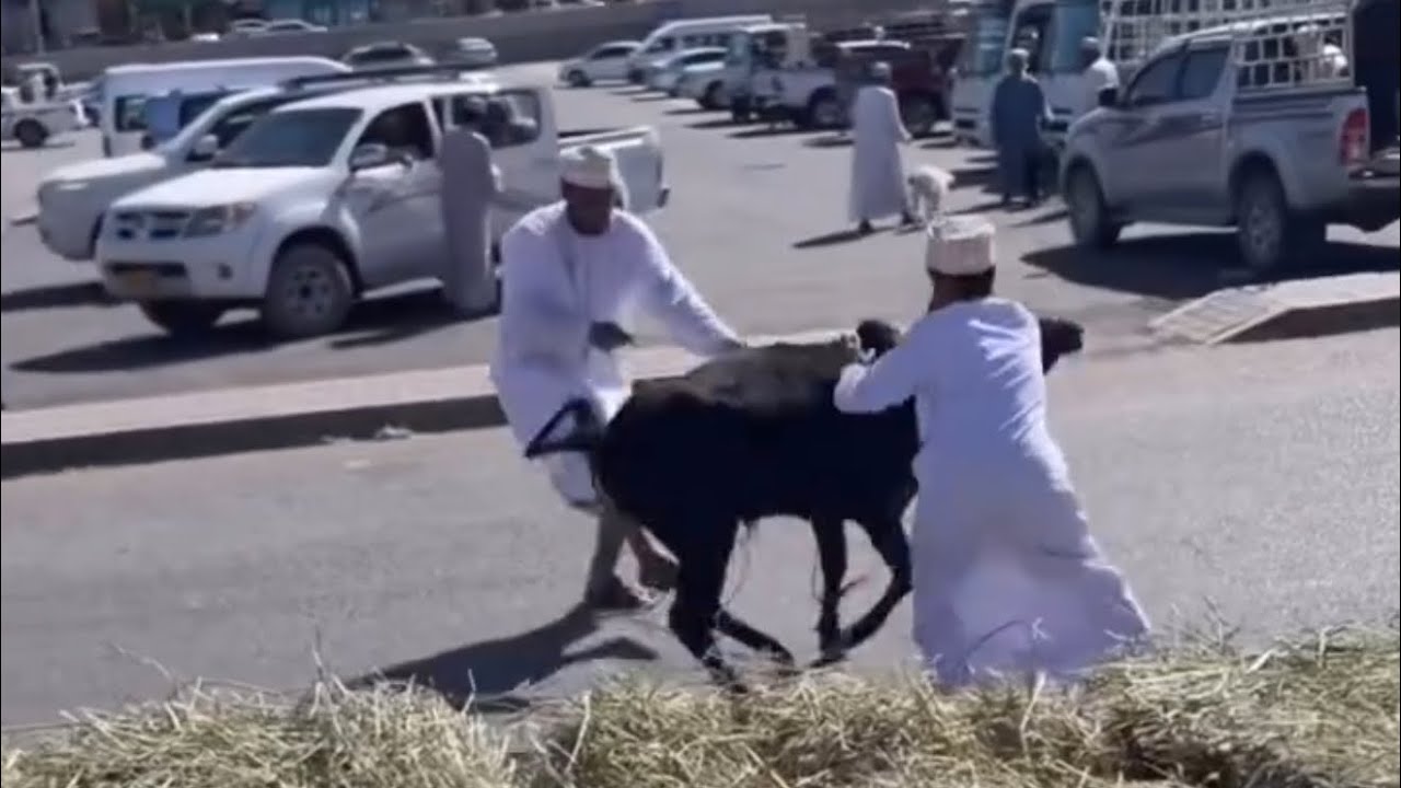 لقطات من سوق نزوى الجميل