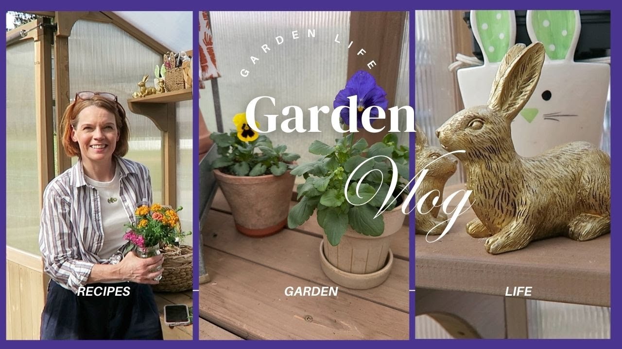 Работа в саду: посадка лютиков + мой новый пресс для цветов