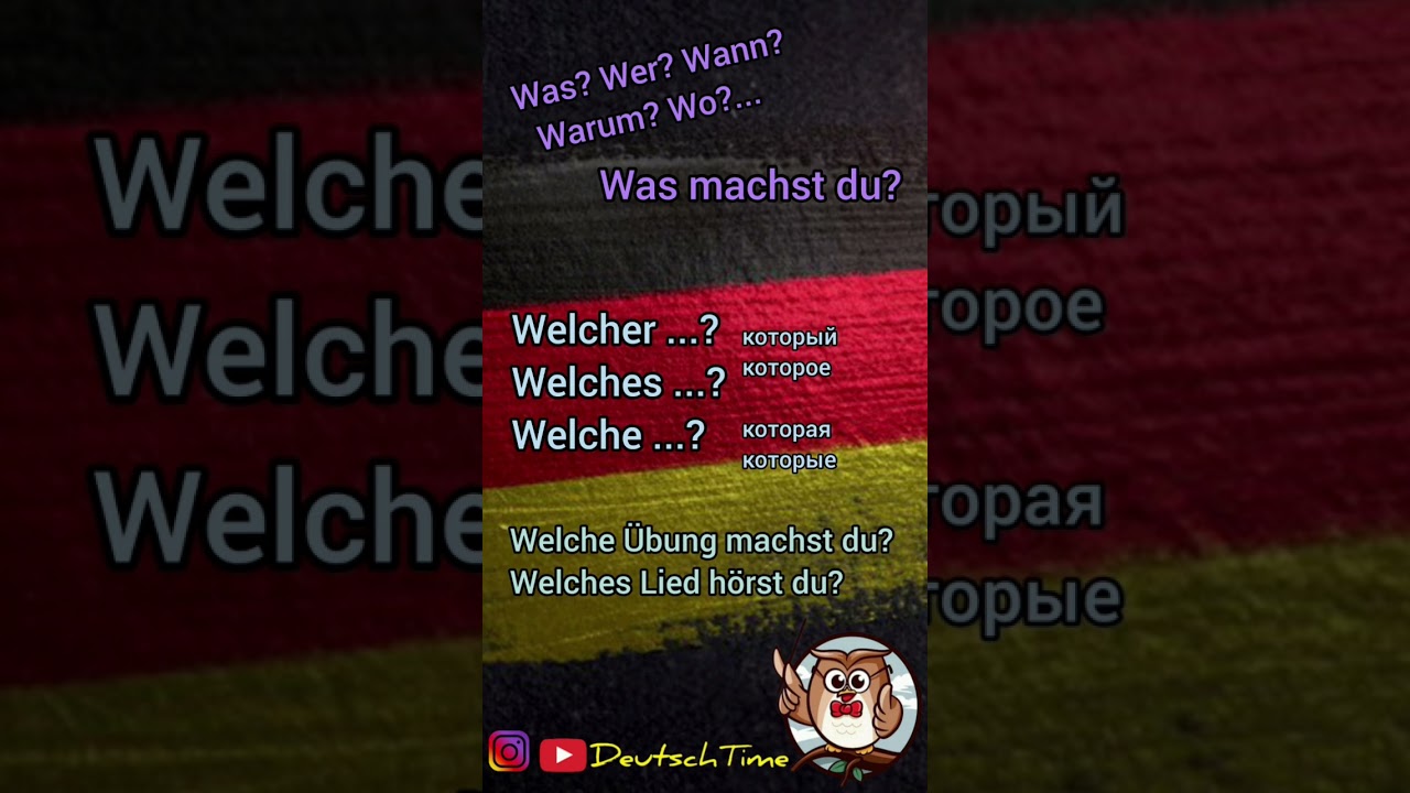 Вопросительные слова "welcher/welches/welche" 🇩🇪 
