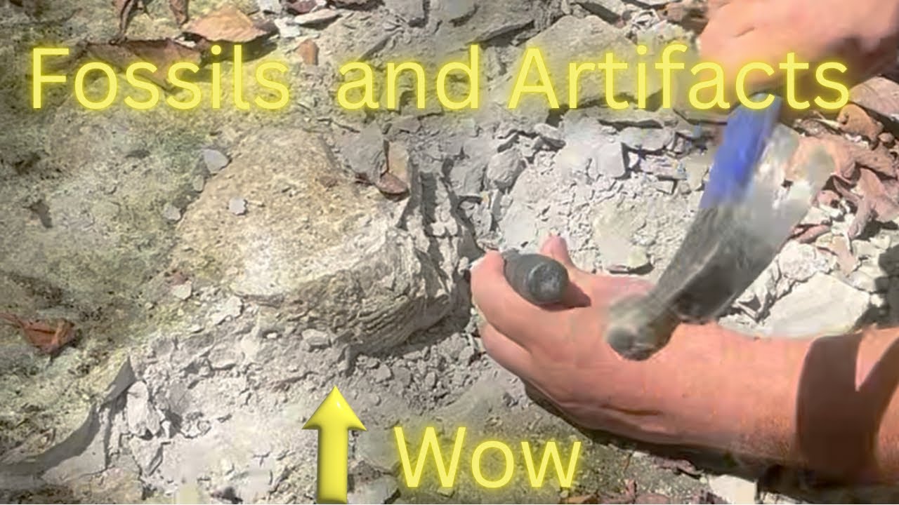 Охота на ручье