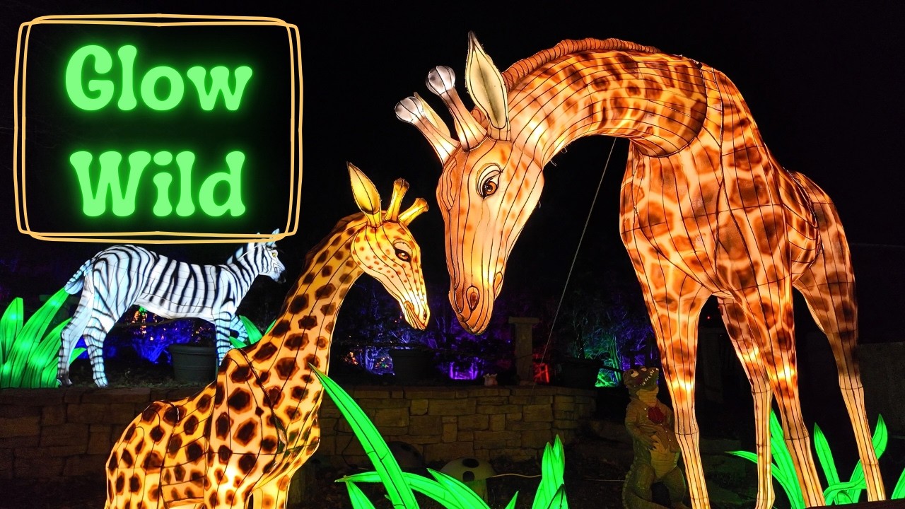 Erie Zoo Lights Up For Glow Wild!