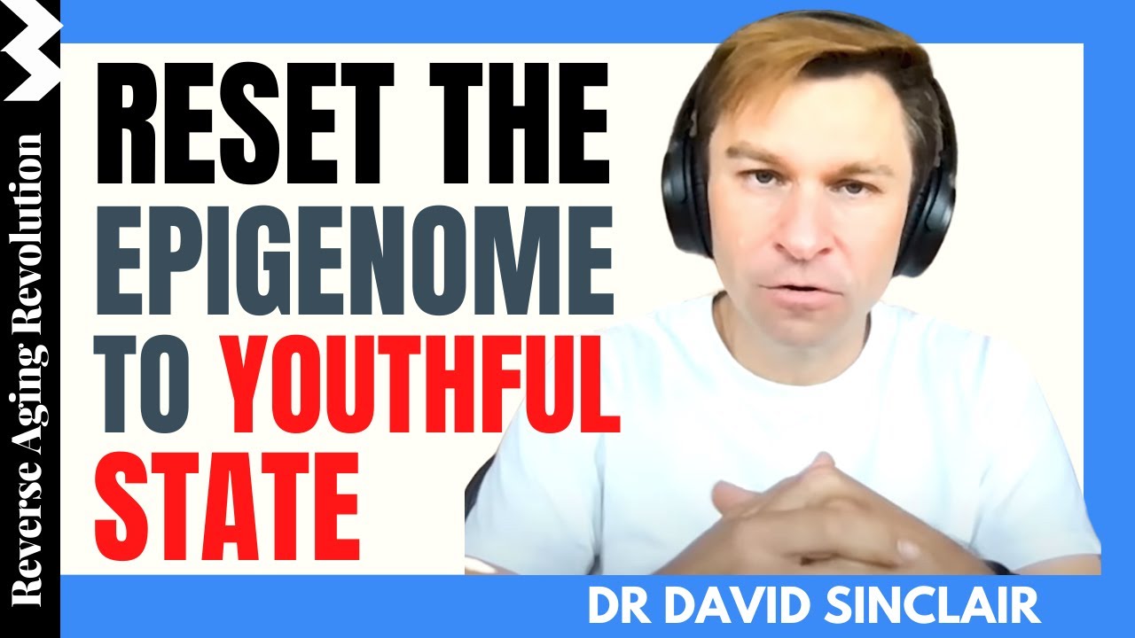 Reset Our Epigenome To Youthful State | Dr David Sinclair Interview Clips
