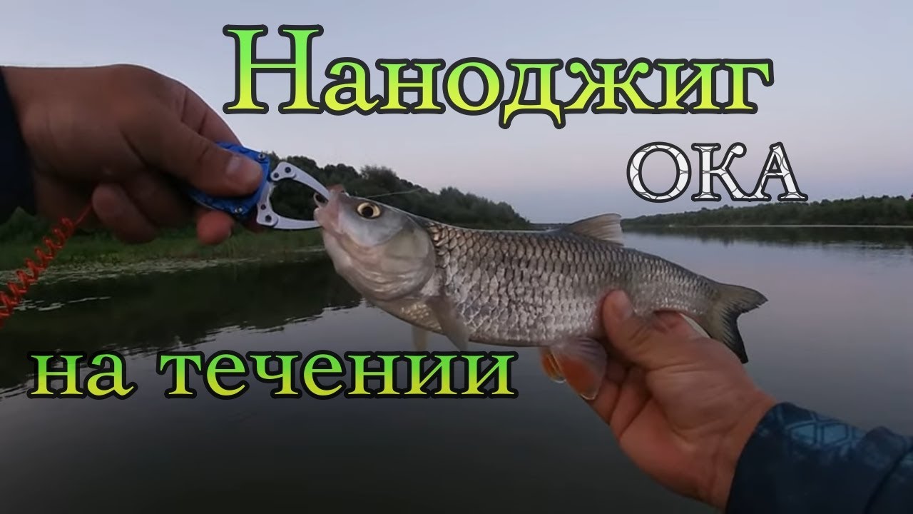 Рыбалка на Оке. Путешествие по России. Ловля Голавля на Спиннинг.