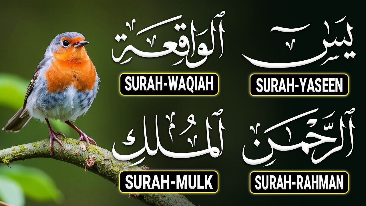 Heart Touching Quran Recitation That Moves The Soul | Surah Yasin Ar-Rahman Al-Waqiah Al-Mulk - 25