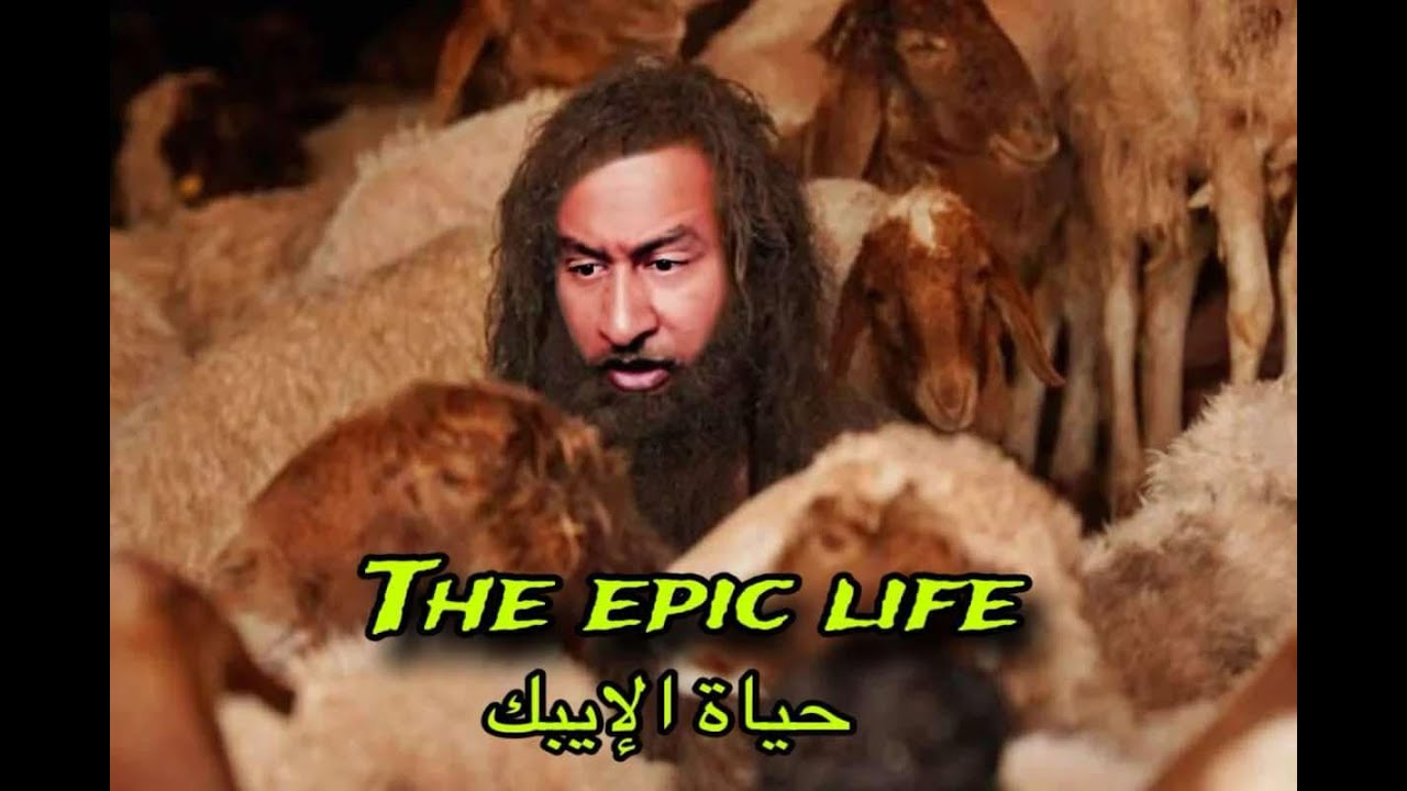 قبل السحور يحلى الضحك فى سرفر مصر بداية السيزون