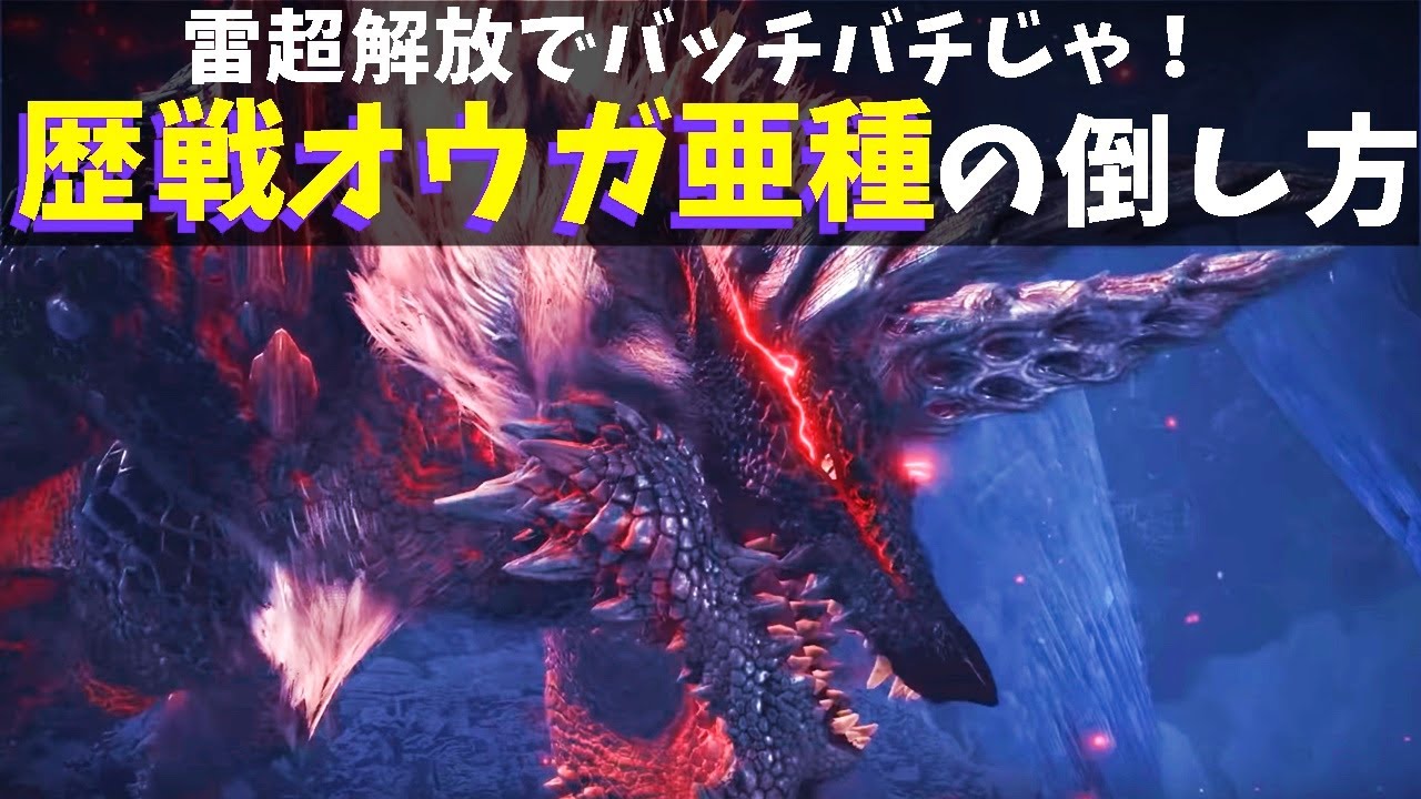 チャージアックスで歴戦オウガ亜種って練習なるよね