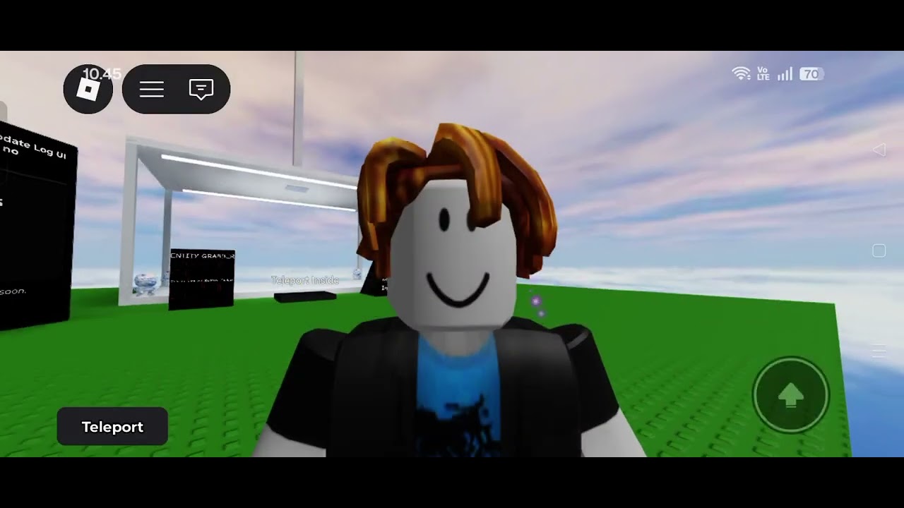 Exploring the skybox and seeing the entity 