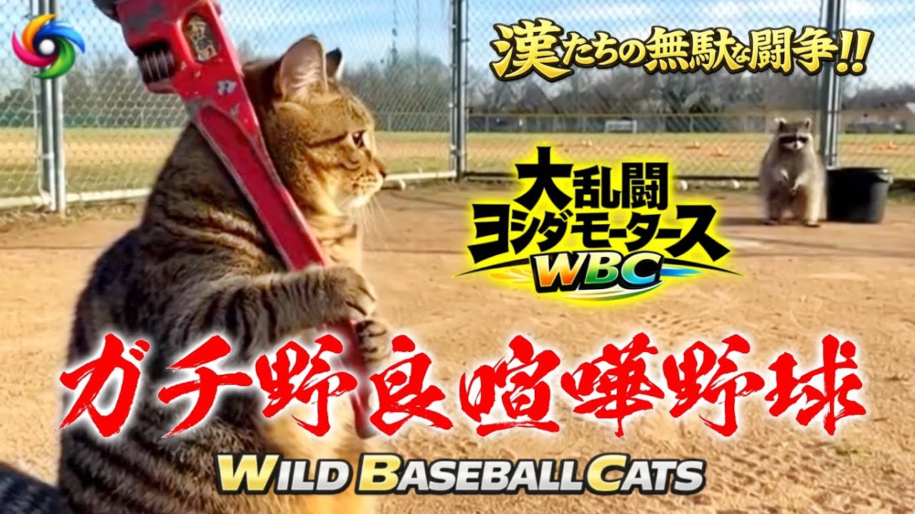 ガチ野良喧嘩野球