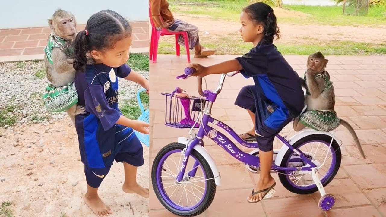 Best Scene lyly Alucksy Carrying And Riding