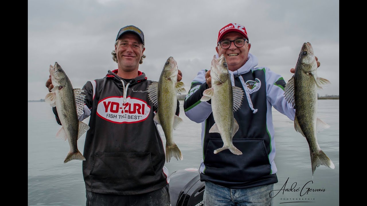 L'automne c'est la folie sur le lac saint Pierre (Achigan, Doré)