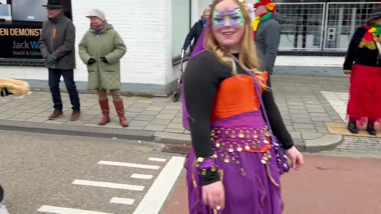 Carnavalsoptocht Stein 2026 deels