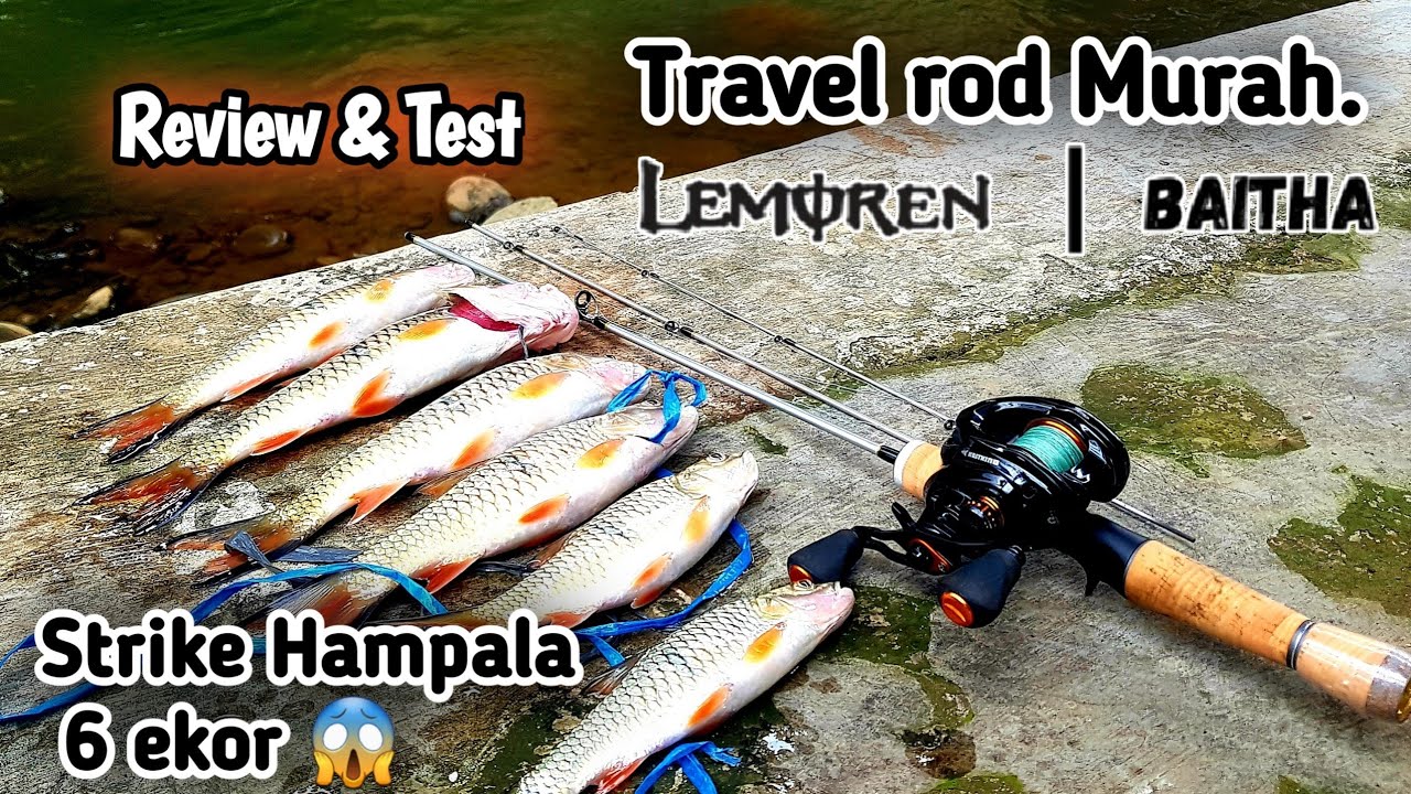 FUll STRIKE !!! Tes Joran Lemoren baitha auto Panen Hampala. di Spot Casting Hampala ciliwung Bogor