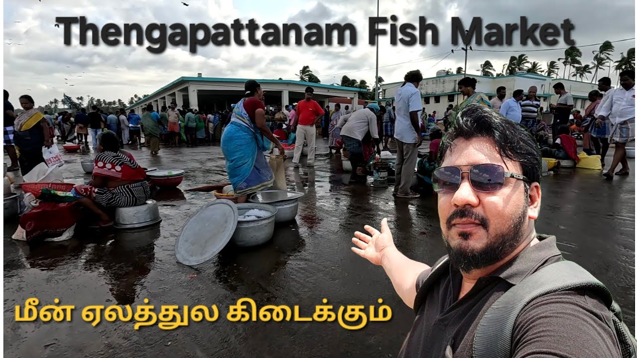 Thengapattanam Fish Market மீன் ஏலத்தில் வாங்கலாம் 