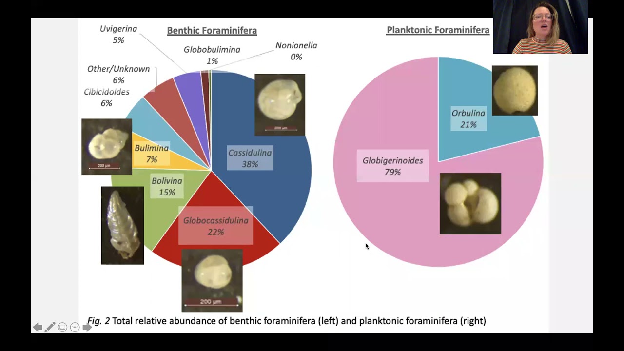 Spatiotemporal variability of benthic and planktonic foraminifera off the coast of San Diego