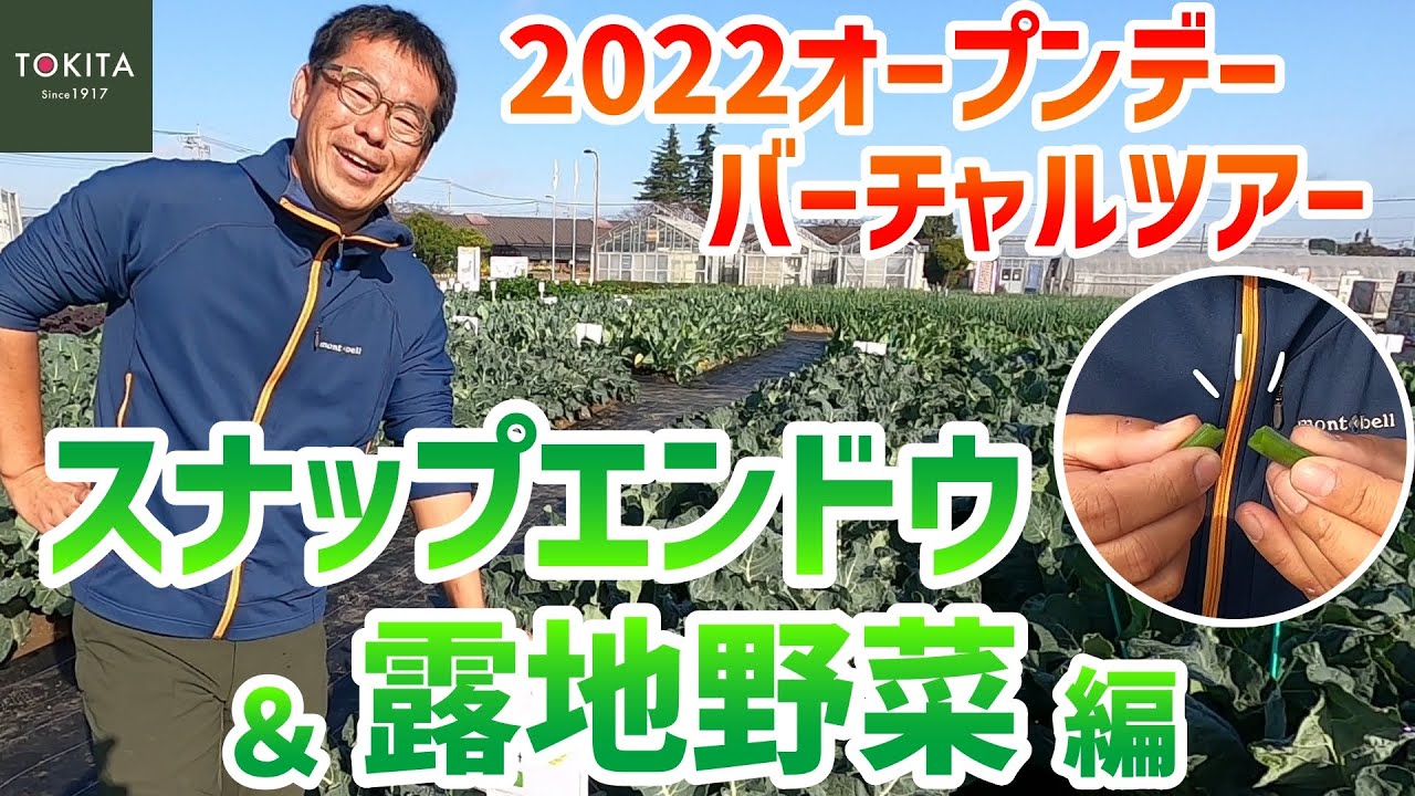 【トキタ種苗】2022年大利根研究農場オープンデー圃場案内 スジナインスナップ＆露地野菜いろいろ編！【公式】