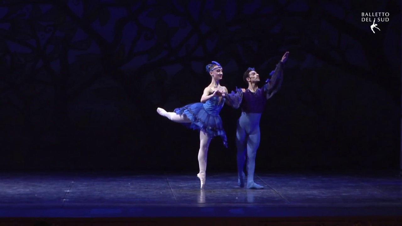 Sleeping beauty - blue bird pas de dueux - Balletto del Sud