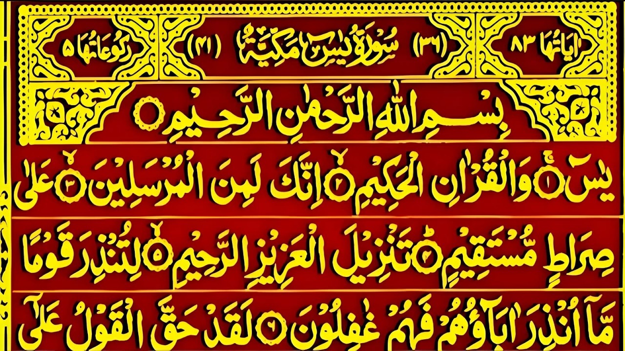 🔴 Surah Yaseen Surah Ar Rahman || Best Qur'an Recitation Surah Yasin full || Full Arabic text HD