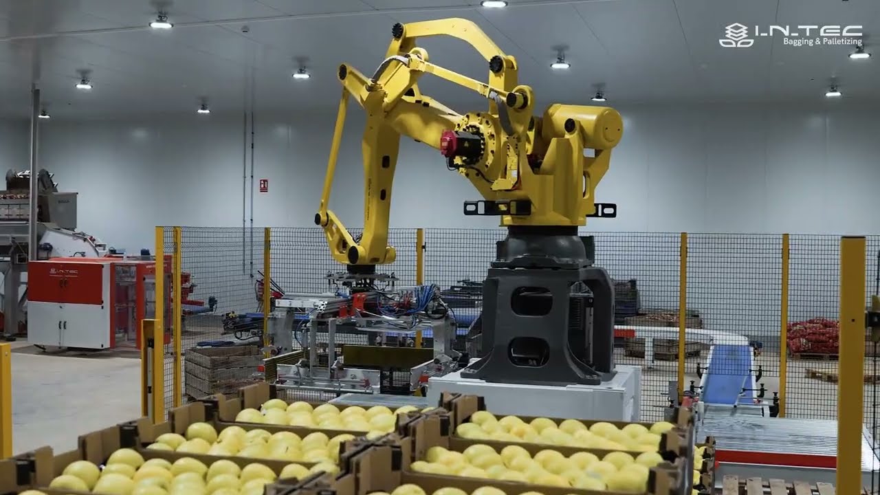 Paletizado de cajas para fruta - Boxes and crates palletizing for produce | ROBOPAL C