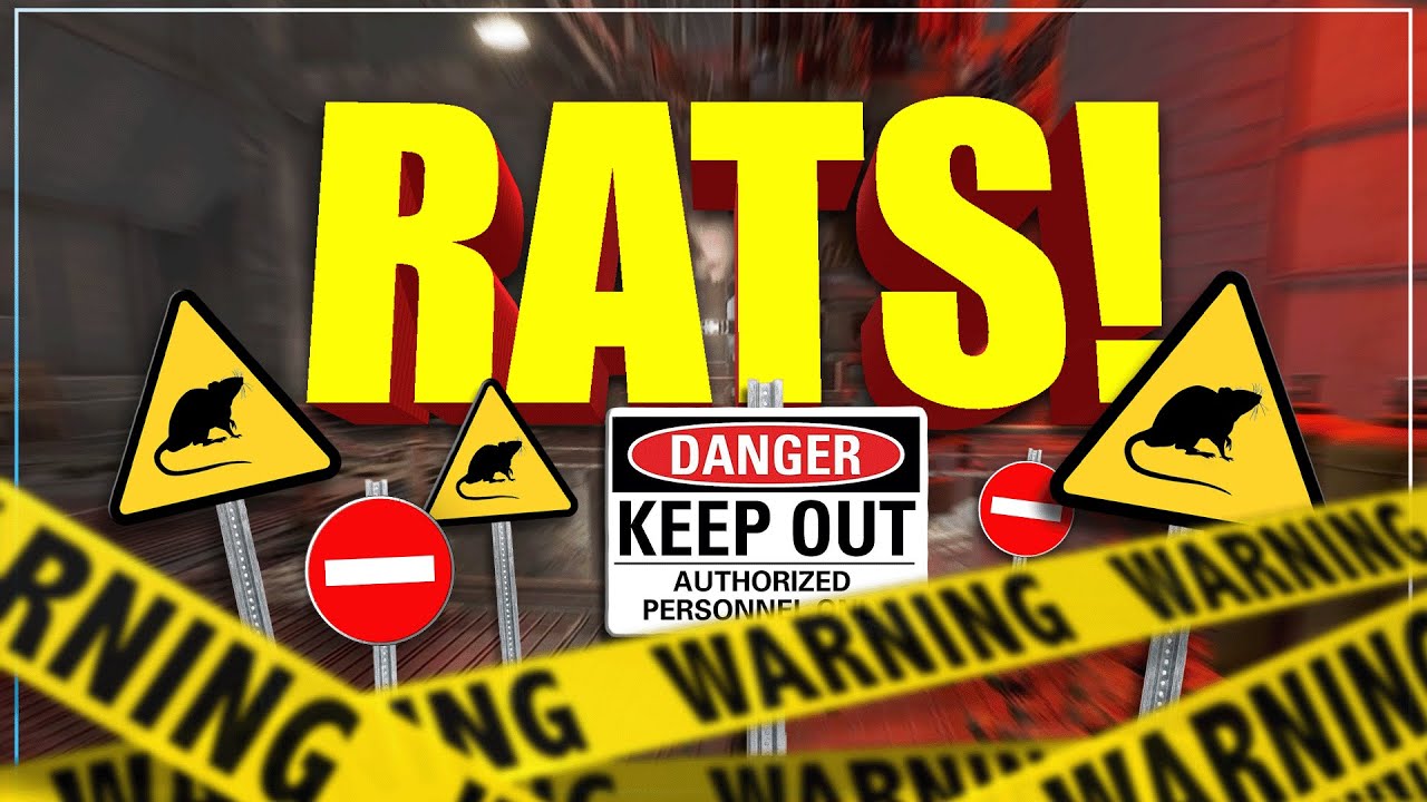 These RATS are getting out of hand!! *Plunder Update* - (Marauders Gameplay)