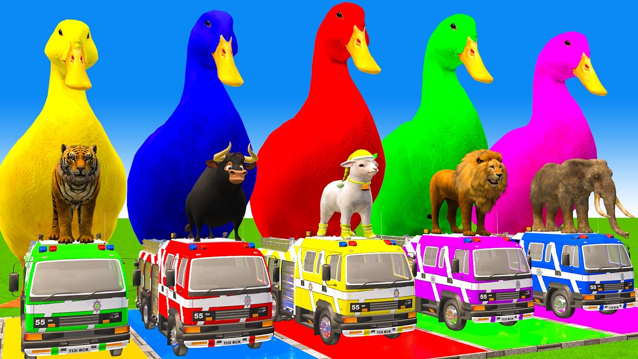 5 Giant Duck Cartoon,Cow,Elephant,Tiger,Lion,Dinosaur,Paint Wild Animals Crossing Fountain Animation