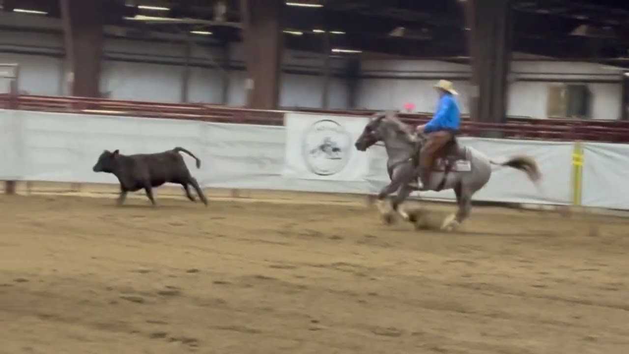 Maxx Bet, 2019 AQHA roan gelding