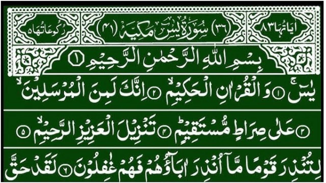 Surah Yaseen Surah Rahman Tilawat || Ep 914 || beautiful quran recitation || quran tilawat yasin 