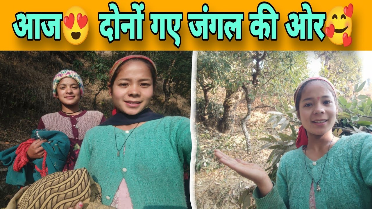 आज😍 दोनों बहनें गए पत्तियाँ लेने जंगल की❤ओर ।। #phadilifestylevlog #villagelife 
