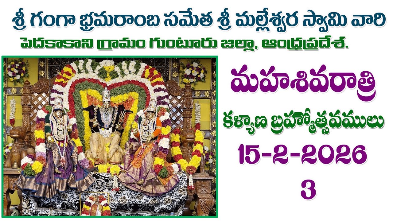 🔴మహాశివరాత్రి శ్రీ గంగా బ్రమరాంబ  సమేత  శ్రీ మల్లేశ్వర స్వామి దేవస్థానం పెదకాకాని గుంటూరు  15-2-2026