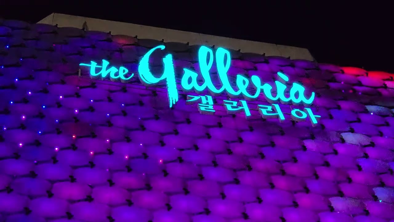 2026년 2월 서울 압구정동 갤러리아백화점 WEST를 둘러보며 2