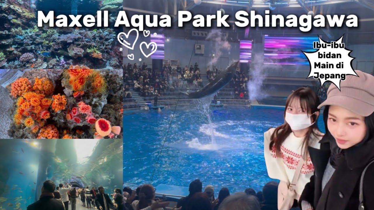Seaworld X Teamlab? 𑣲 Tokyo Maxell Aqua Park Shinagawa 𓆝 𓆟 𓆞 Japan Vlog ⋆˚࿔