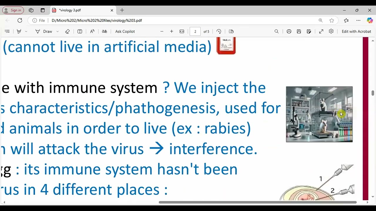 Virology 3 (Micro 2)