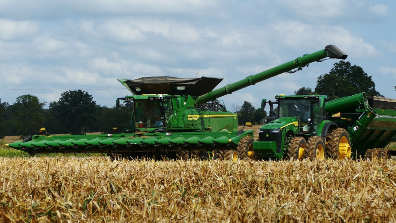Seven Springs Farms Corn Harvest - Kentucky, USA