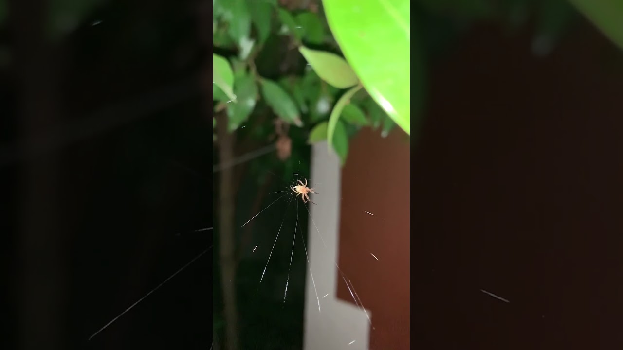 You’re doing amazing little one ~ 