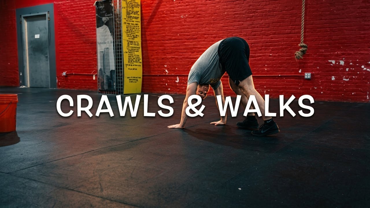 Dynamic Warmup for Mobility and Strength (Animal Flow movement)